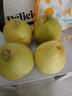 大象芭蕾云南傣柚西双版纳东试早柚青柚子白肉蜜柚新鲜当季水果孕妇水果 特大果3-4个【净重9斤左右】 实拍图