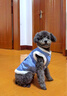 嬉皮狗（hipidog）狗狗衣服新年春节加绒保暖可牵引马甲中小型犬比熊宠物猫咪喜庆服 牛仔蓝色 M（建议体重5-8斤） 实拍图