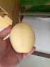 京鲜生 河北特产水晶甜鸭梨 净重2斤 新鲜水果 源头直发 包邮 晒单实拍图