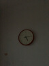 康巴丝（COMPAS）挂钟客厅 简约石英钟表挂墙时钟挂表 C2855-1 珍珠蓝 实拍图