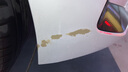 GOOT冈图宝马车系宝马x5MINI汽车自喷漆补漆笔车漆深度划痕修复补漆 矿石白专用方案 优选超值标准修复 实拍图