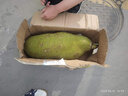 亿喜农海南黄肉菠萝蜜新鲜水果干苞果肉大树菠萝蜜一整个热带水果 净重22-25斤【店长推荐】 实拍图