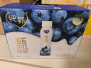 蒙牛纯甄甄酸奶寒地蓝莓风味酸奶PET瓶230g×10瓶（礼盒装） 实拍图