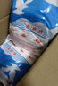南鹰牌消毒粉20g*20包家用餐具物品地面墙壁医院学校杀菌漂白厕所 两袋 400G (20g*20包) 实拍图