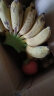 曜果广西香蕉 小米蕉   新鲜水果 生鲜 生果 小米蕉是小的 5斤 (需催熟后食用) 实拍图