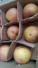 好乐果红富士苹果今年新苹果 嘎啦果脆甜鲜苹果新鲜水果生鲜小苹果年货 9斤优选 晒单实拍图