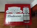 百威（BUDWEISER）淡色拉格 听装百威啤酒 450ml*20听装整箱 红罐 450mL 20罐 整箱装 实拍图