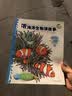 动物王国大探秘 第一辑听海洋生物讲故事 3-6岁海豚科普绘本  实拍图