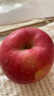 安和山陕西延安洛川红富士苹果新鲜水果脆甜应季水果时令生鲜 75-80mm带箱5斤（净重4.5斤） 实拍图