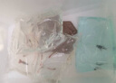 森悠（SARYOR）孔雀鱼纯种观赏鱼小型淡水好养热带鱼活体斑马金鱼凤尾鱼繁殖 豹点2对+1对防损【3公3母】 实拍图