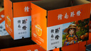 赣南脐橙江西甜橙子新鲜现摘水果精品大果礼盒送礼京东快递产地发 20斤精品果（85mm） 实拍图