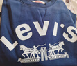 李维斯（Levi's）儿童装男童加绒卫衣秋冬款洋气拜年服长袖上衣宽松潮衣服 【冬季加绒】大丽花红 140 /68 【建议身高128-140cm】 实拍图