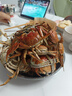 【活蟹】网兜蟹辽宁盘锦河蟹稻田河蟹礼盒螃蟹鲜活大闸蟹无绳净重 全母蟹丨3.0-3.3两【8只】镇店之宝 实拍图