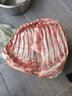 额尔敦原切羔羊排 内蒙古锡盟草原羔羊 国产羊肉 清真 生鲜食材4.8斤 实拍图