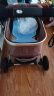 ANGI BABY婴儿推车可坐可躺可折叠婴儿车高景观双向减震手推车 晒单实拍图