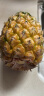 【5斤中果】中山神湾菠萝 凤梨 丫髻山下种植场 中果 晒单实拍图