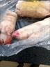 京战【年货推荐】大猪蹄带筋猪蹄子新鲜冷冻猪脚猪手猪爪猪蹄猪手整只 4只装*带筋大号猪蹄 实拍图