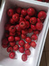 涑淇源鲜山楂山楂果大金星大五棱山楂鲜摘现发新鲜山楂 泡膜箱包装3斤山楂 实拍图