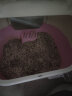 喵喵酱猫砂 猫砂膨润土猫砂 低尘猫沙宠物用品 结团大小颗粒混合大包装 原味10kg 实拍图