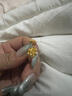 赛菲尔 黄金耳饰足金999.9芙蓉耳环花朵耳钉 一对耳饰 约3.15克 实拍图