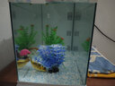 长锐侧滤鱼缸桌面办公室免换水生态水草超白水族箱 K600造景版【长63 宽27 高35】 实拍图