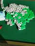 梦多福麻将桌折叠 家用手搓麻将桌餐桌多功能麻将机象棋便携宿舍麻雀台 合金包边+不锈钢桌腿(带烟灰缸) 新升级 实拍图