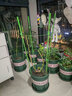 火有水爬藤架子花支架月季花架植物室内花卉支撑杆园艺铁线莲爬藤支架杆 加大款150cm(四杆五圈/圈35CM) 中等 实拍图