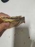 稻香村老婆饼糕点心早餐好吃的休闲办公室零食品点心 黑糖味210g*1盒 实拍图