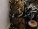 【活蟹】蟹宗大闸蟹鲜活螃蟹现货公4.3-4.6母2.8-3.1两4对8只海鲜水产生鲜节日送礼礼盒 实拍图