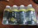 趣小谗枇杷炖梨果味饮料360ml瓶装雪梨子汁果汁饮品 360mL*9瓶 【枇杷炖梨】 实拍图