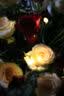 佳能（Canon）EOS 750D 760D 800D 850D 77D 二手单反相机高清数码照相机 99新 750D EF 18-55mm STM 标配【无内存卡等配件，套餐更划算】 99新 实拍图