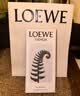 罗意威（LOEWE）黑色圆舞曲男士淡香水100ml 礼物生日送女友 实拍图