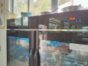 康宝（Canbo）消毒柜 商用立式大容量 不锈钢双开门酒店食堂餐饮餐具消毒碗柜 双门 紫外线 XDZ760-A8 晒单实拍图