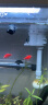 森森（SUNSUN）鱼缸原厂标配水泵HR原装水泵HE原装水泵配件 HE-380水泵带管件一套 晒单实拍图