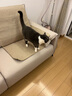 华元宠具（hoopet）猫抓垫剑麻猫抓板窝防猫抓沙发保护贴墙猫咪猫爪板耐磨不掉屑神器 实拍图