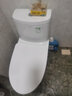 箭牌（arrow） 马桶卫浴坐便器喷射虹吸式缓降静音座便器防臭节水马桶旗舰款 浴室B套装AE1126（300坑距）+花洒免费安装 实拍图