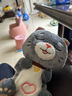 趣巢抖喵斑布猫电动玩具会唱歌跳舞仿真猫咪毛绒玩偶公仔儿童生日礼物 抖喵+巴塔木（游戏互动科普） 33cm 实拍图