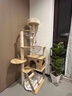 CHONLDERL猫爬架猫窝猫树一体大型太空舱通天柱猫架剑麻玩具猫抓板猫咪用品 【8层双太空舱】猫乐园ML-3 实拍图