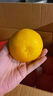 集年鲜赣南脐橙手剥甜橙子新鲜现摘生鲜水果整箱节日送礼 净重2.6斤实惠果（单果100-149g) 实拍图