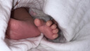 童泰秋冬0-6个月婴儿男女宝宝保暖连体蝴蝶哈衣TS23D165 蓝色 66 实拍图