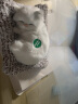 我思我梦 生日礼物猫咪公仔玩偶女生精致高级感女孩实用送闺蜜的姐妹女神 小号白猫（发声款） 【成品包装】 实拍图