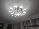 雷士（NVC）吊灯美式轻奢水晶客厅大灯LED智能卧室灯 灯具套餐厅灯饰全屋 【3室2厅】10+6头+卧室*3 实拍图