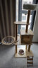 珑小宠猫爬架猫窝加粗大型猫树一体太空舱猫架子小户型不占地麻绳猫玩具 142cm 4层 【嗨畅玩款】 实拍图