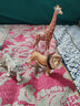 思乐（Schleich S）新年礼物仿真动物模型 老虎狮子狼豹白虎猞猁男女孩儿童玩具生日 白色老虎14731 实拍图