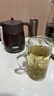 膳魔师（THERMOS）日本进口膳魔师焖泡、带茶漏家用不锈钢大容量茶壶TTE-450/700 咖啡色茶壶 700ml(赠送壶垫) 实拍图