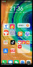 华为Mate30 Mate30pro 华为mate30pro二手 华为手机 二手5G手机 国行95新 翡冷翠（5G版） 【Mate30Pro】8+128G（100%电池） 实拍图