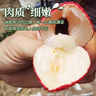 拾贝壳新鲜妃子笑荔枝2025现摘海南妃子笑荔枝老树当季水果礼盒生鲜 6斤礼盒装【精选果】 实拍图