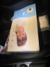 金可儿成长 婴儿枕头0-6岁 新生儿定型枕头糖果枕 儿童硅胶枕头宝宝枕头 糖果DIY枕（3个月-5岁） 波点 晒单实拍图