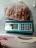 金葉（JINYE）金叶牌电子秤30kg商用精准计价超市水果蔬菜烘焙台秤防水 省电大秤盘30公斤室外黑字平盘 实拍图
