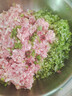 金屿大型电动大容量大功率绞肉机家用商用10升12升碎肉机辣椒碎姜蒜泥机打蒜机切菜神器搅碎机 6升容量【两副刀】1600W+纯铜风冷 实拍图